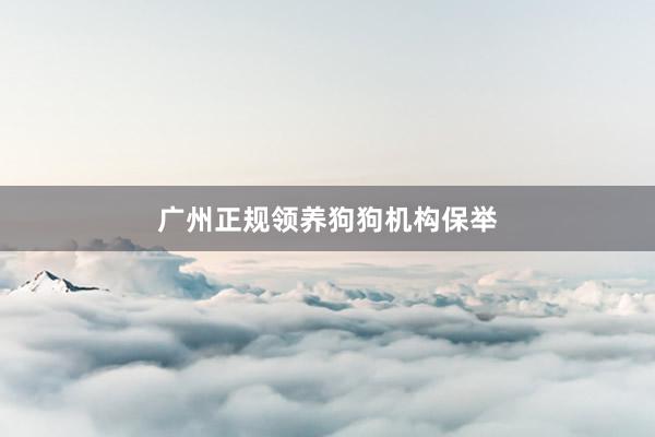 广州正规领养狗狗机构保举